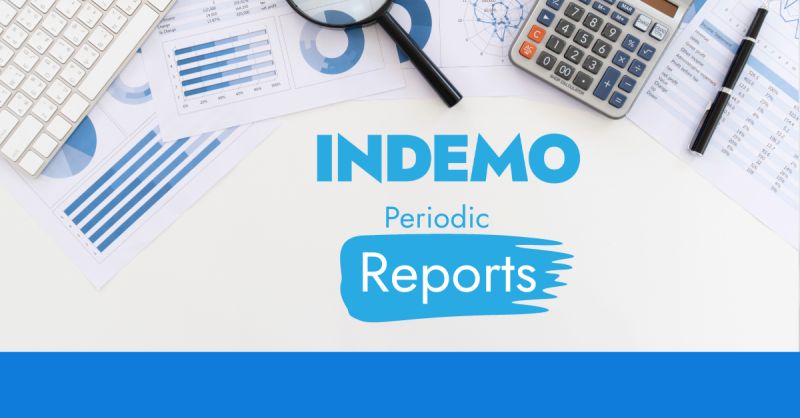 Empowering Your Investment Journey: Unveiling Periodic Reports on Indemo