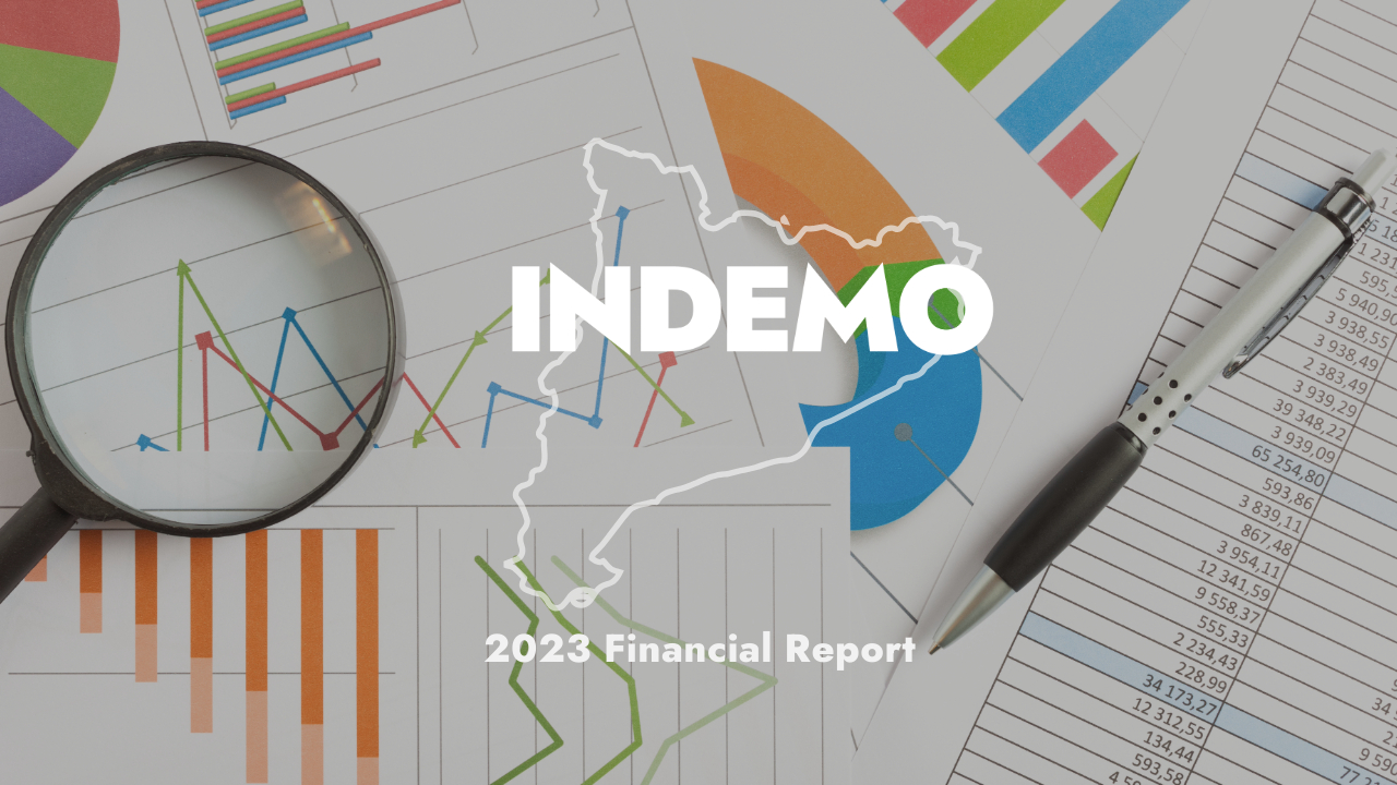 Indemo's Yearly Report: A Testament to Transparency and Accountability