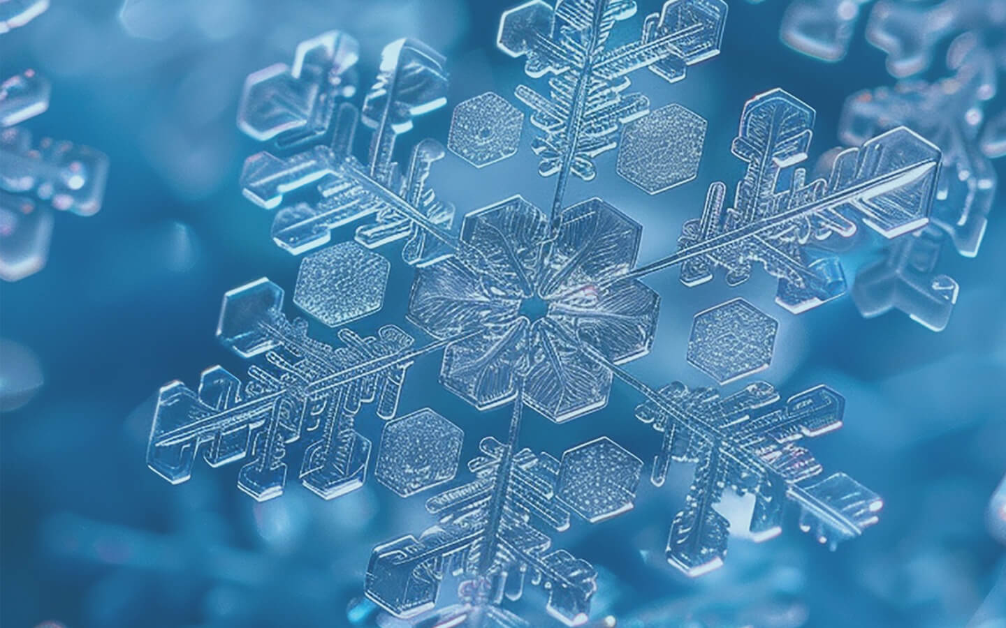 Fresh Start Cashback - Up to 5%